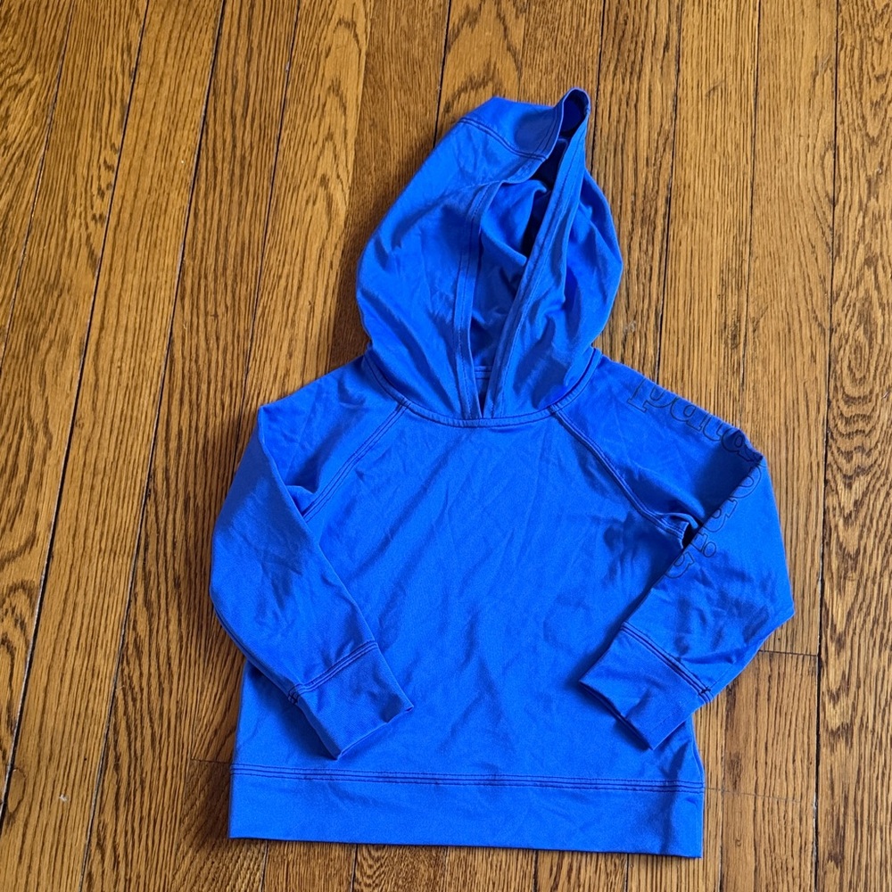 Blue Patagonia Kids Hoodie